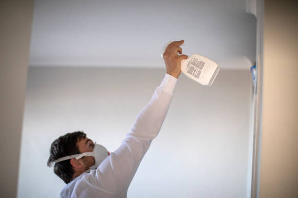 Best Post-Remediation Services in Stevensville, MI