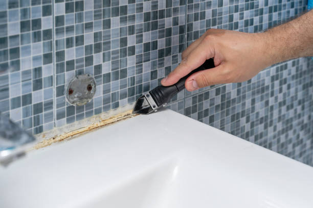 Best Localized Mold Remediation (e.g., coastal areas, humid climates) in Stevensville, MI